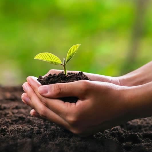 The best website company